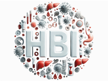 a HBc IgM