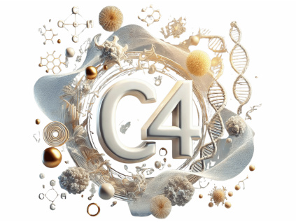 C4 komplement