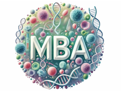 MBA