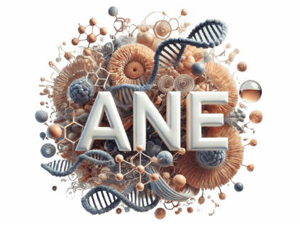 ANE