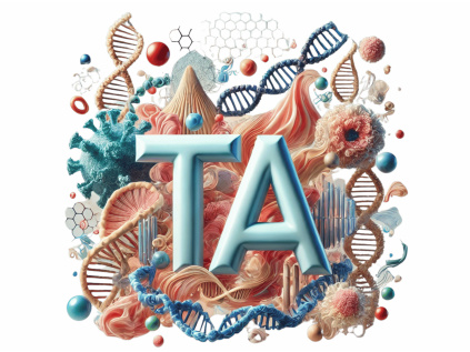 TA