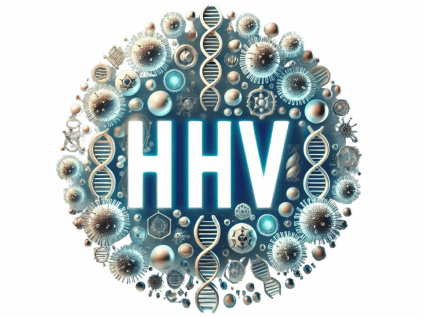 HHV