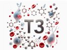 T3