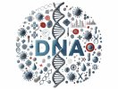 DNA