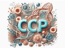 CCP