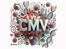 CMV