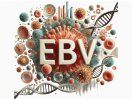 EBV