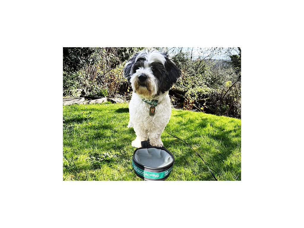 Tracker Trackable Dog Tag Geocaching shop