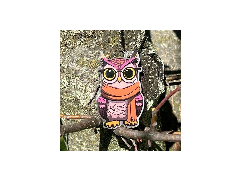 Owlbert the Owl Cache Buddy Travel Tag