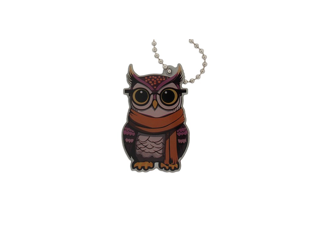 Owlbert the Owl Cache Buddy Travel Tag