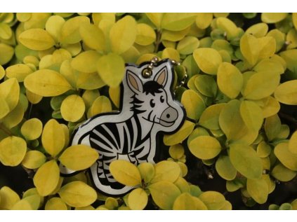 Zebra Cachekinz™ Travel Tag
