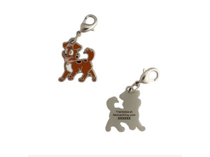 Tracker Nano Geocoin