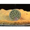 pi day coin shop mailer image 600 x 450 vfinal