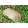 stone geocache masking