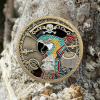02 2026PirateCoin ParrotFRONToutside