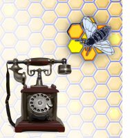                                     Krušlovské včelí království
                            