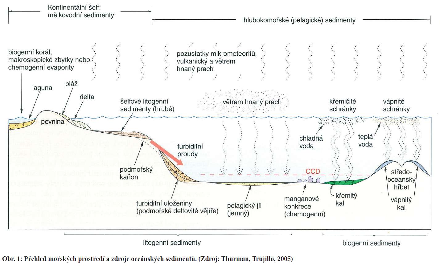 Sedimentární (usazené) horniny na Ašsku