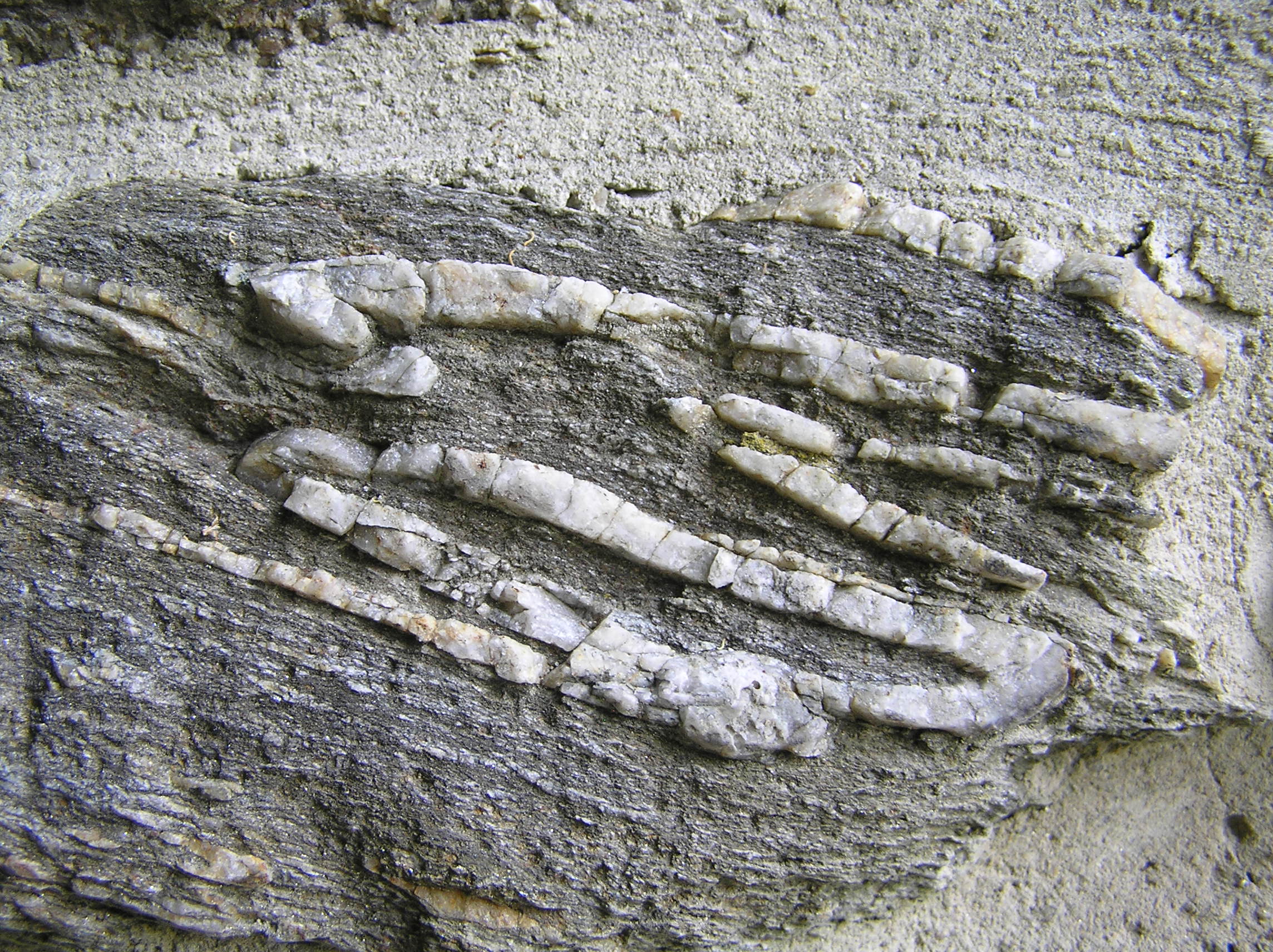 Vrásy, "vrásky" a jiné deformace (sonda do strukturní geologie)