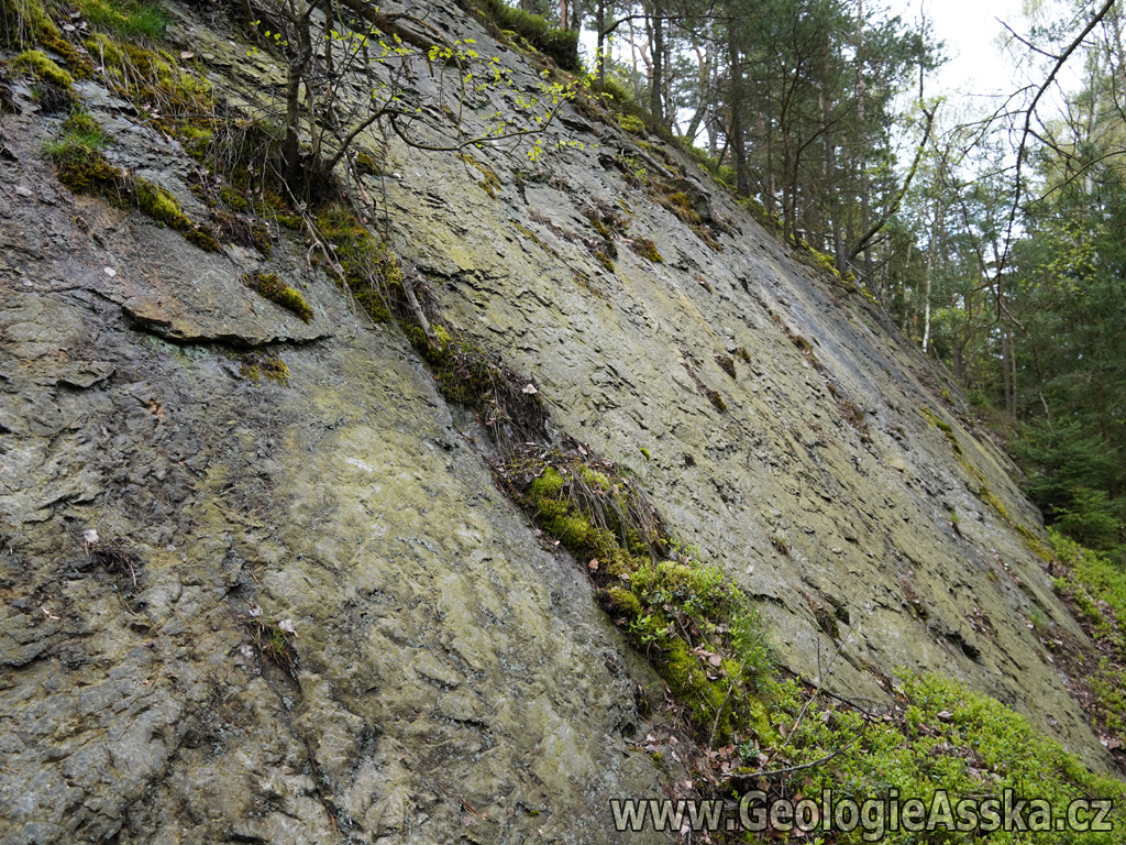 DSC02031_GeologieAsska.cz_tektonicke_zrcadlo_01