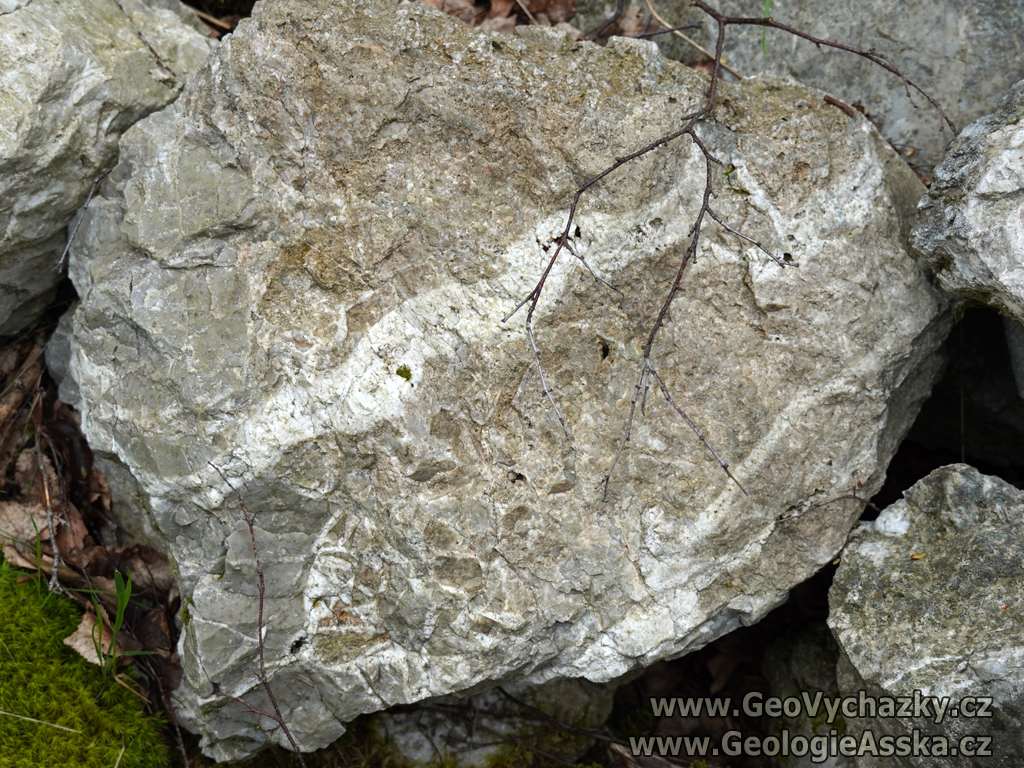 DSC02056_goethova_skalky_lomy_vicegeneracni_kremen_GeologieAsska.cz