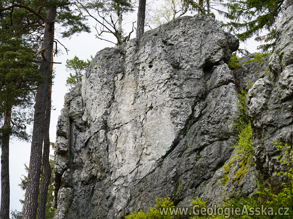 DSC02104_GeologieAsska.cz_svisle_tektonicke_zrcadlo_01