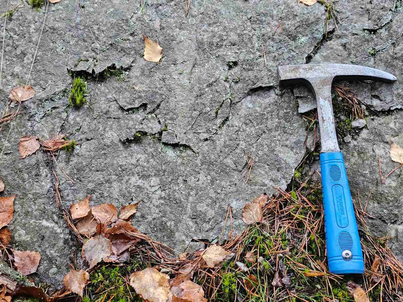 riedelovy-R-strihy-01