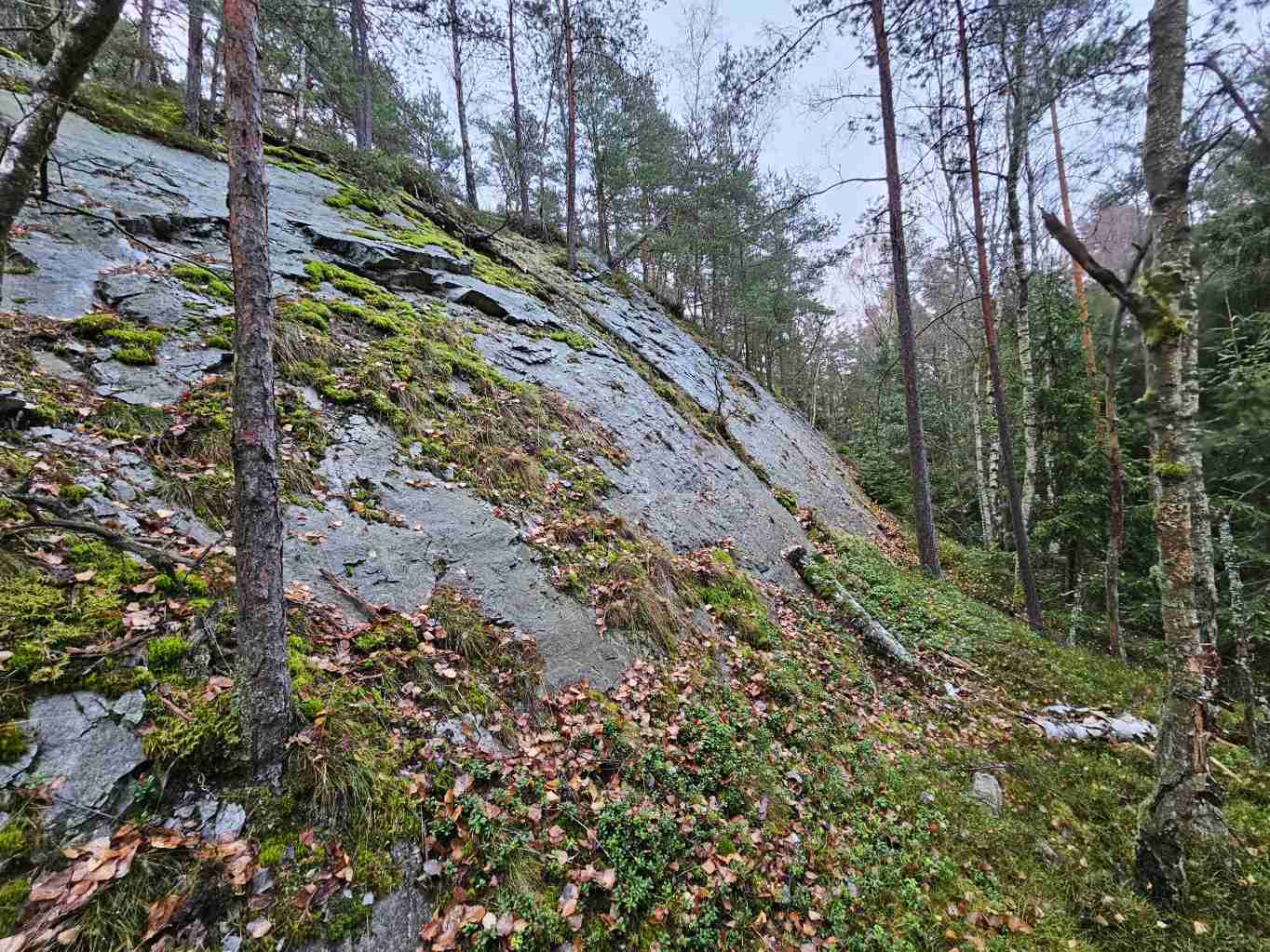 pohled-na-tektonicke-zrcadlo-listopad-2025