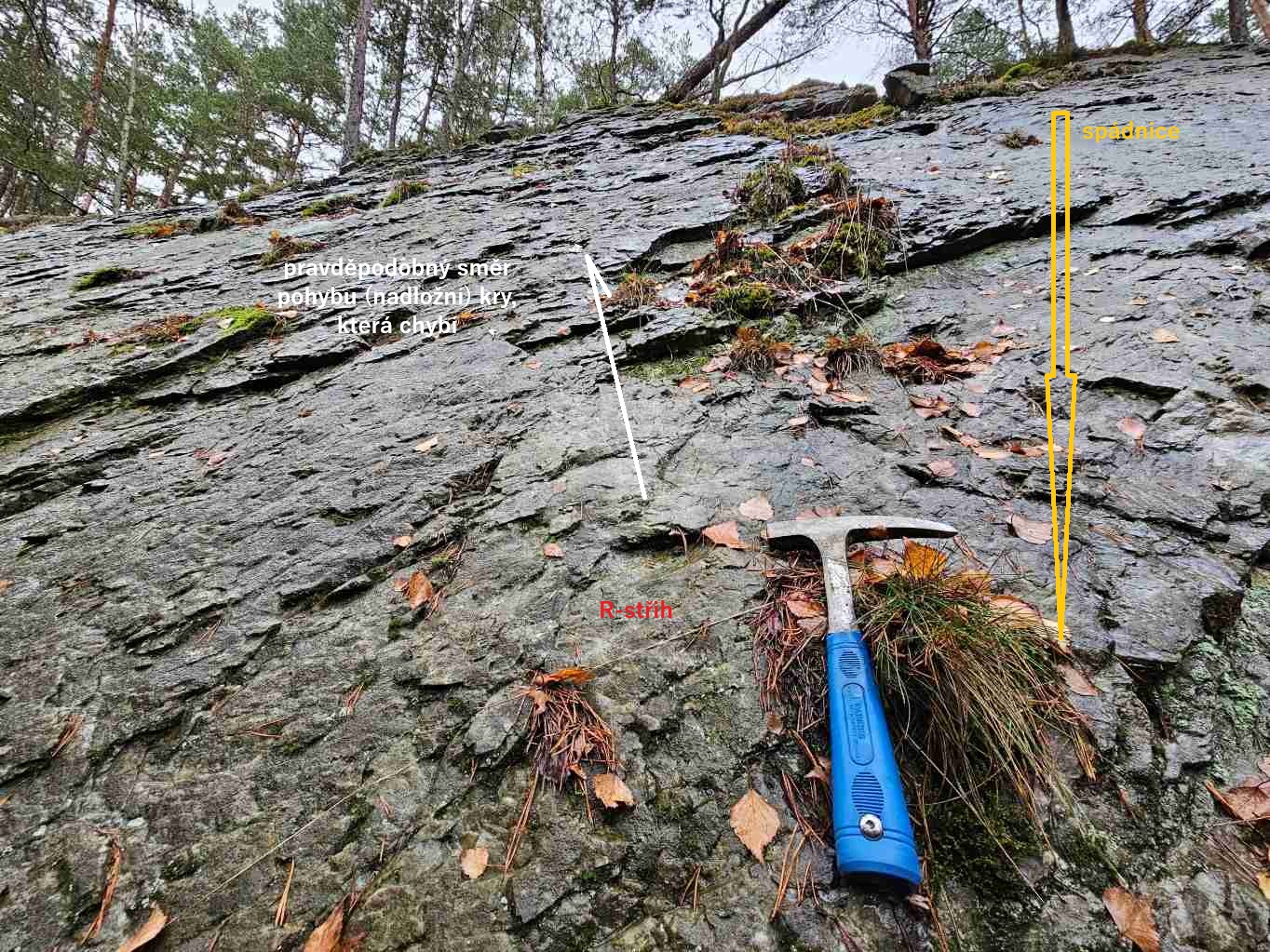 riedelovy-R-strihy-02-vyznaceni