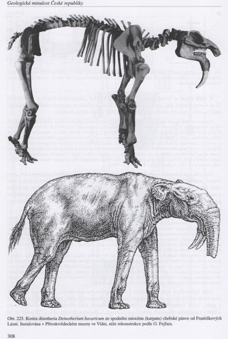 dinotherium-vyrez