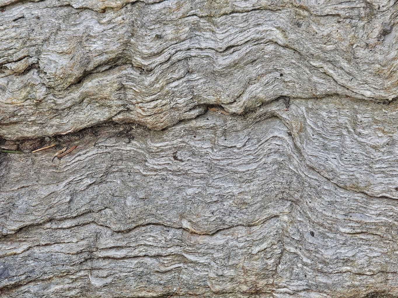 detail-provrasneni-web-1364x1023