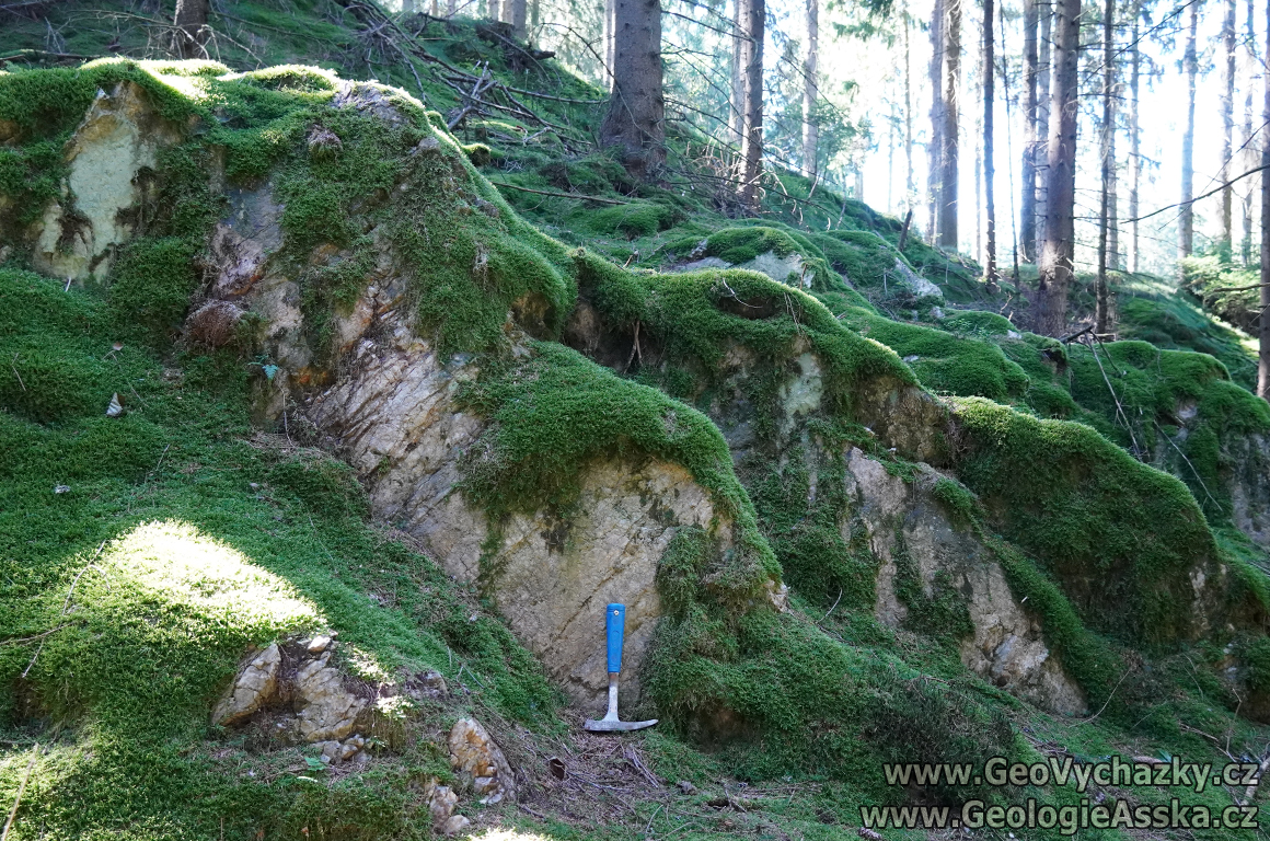 kremenne-zily-a-valy-krasna-cerny-luh-GeologieAsska.cz-GeoVychazky.cz-mechy