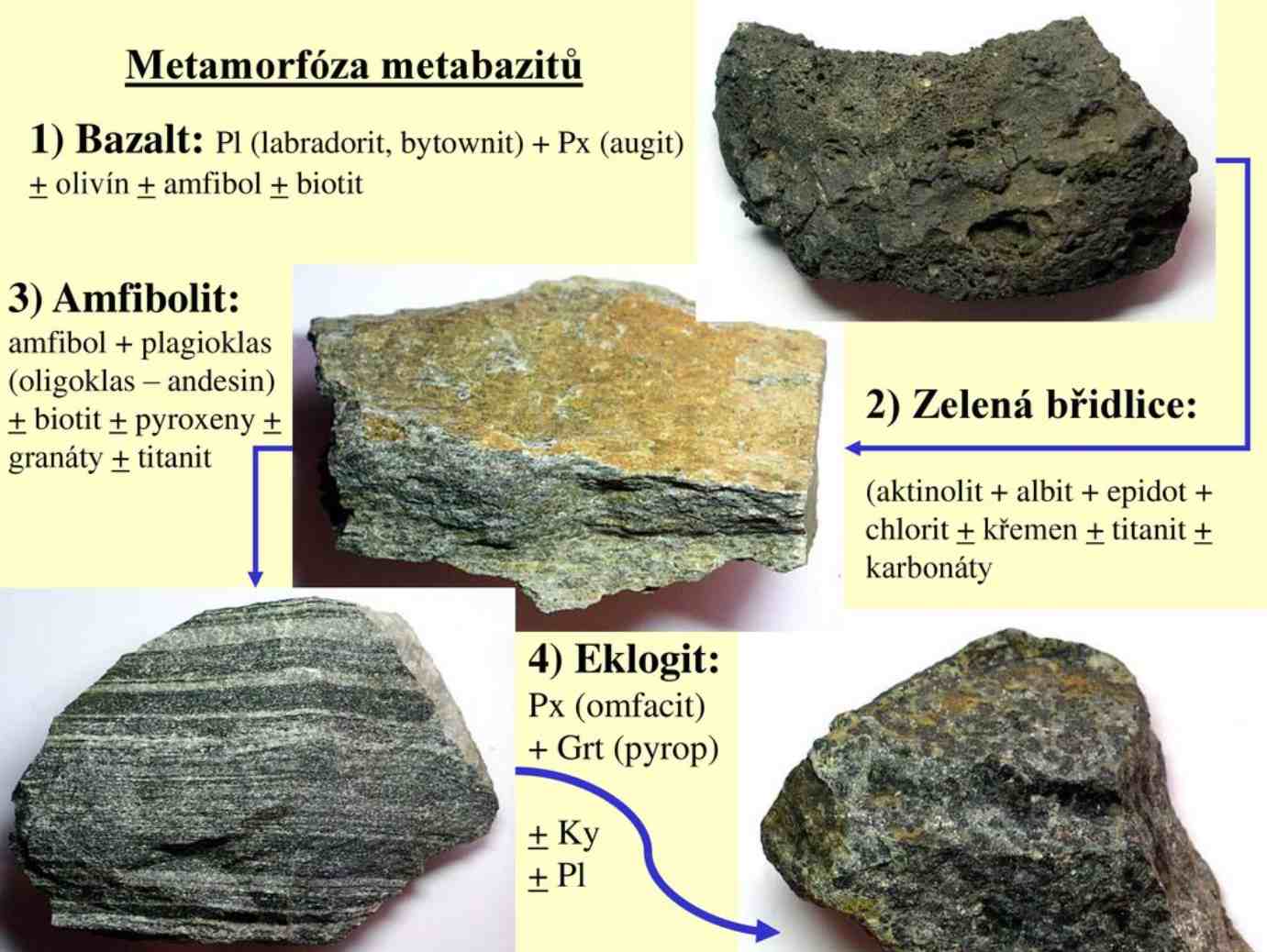 metamorfoza_matabazitu