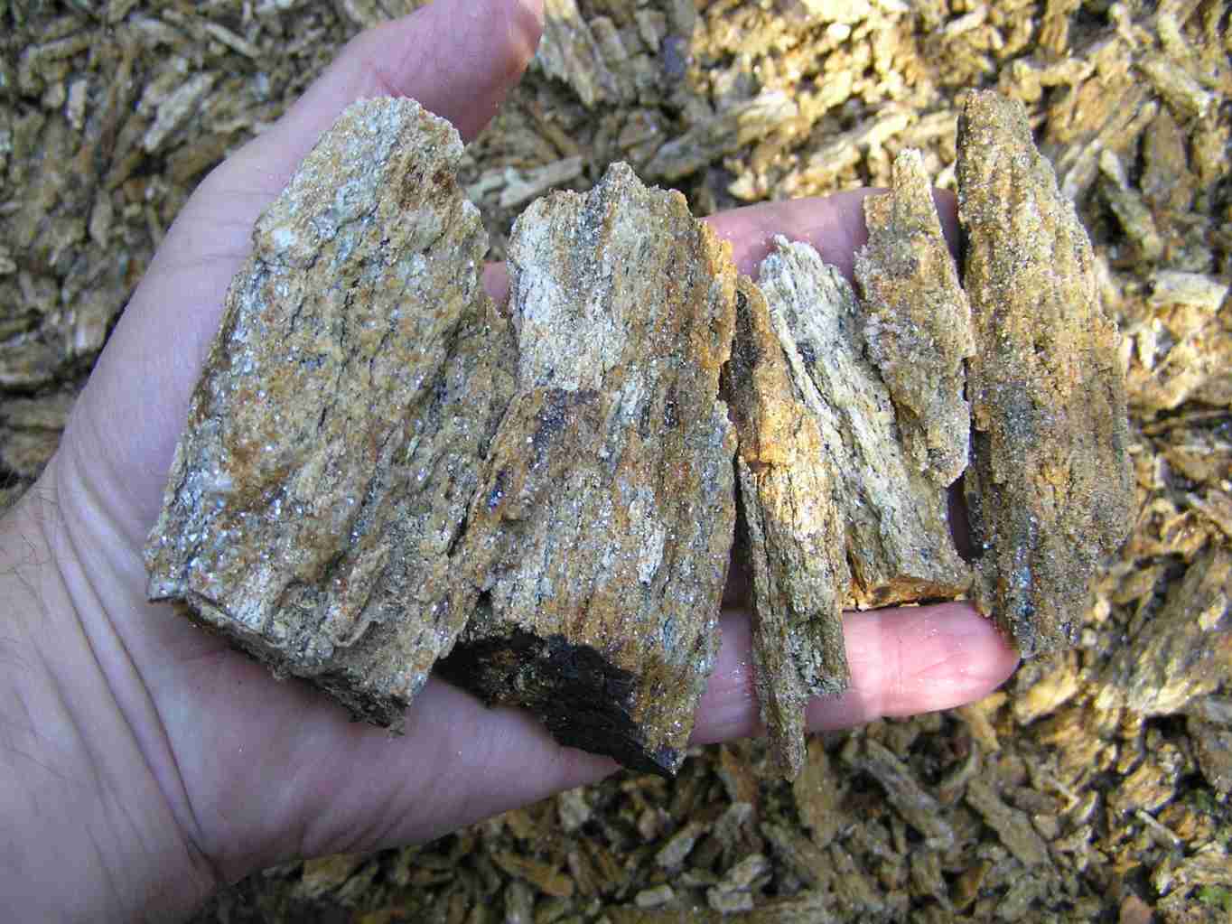 ortorula-typ-a-u-kruhace-novy-zdar