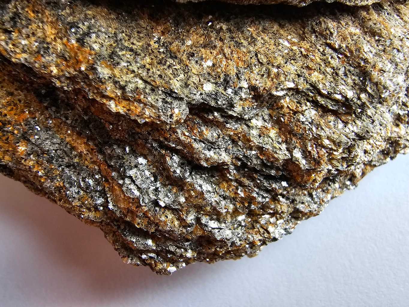 pararula-dvoslidna-nahlouceni-slid