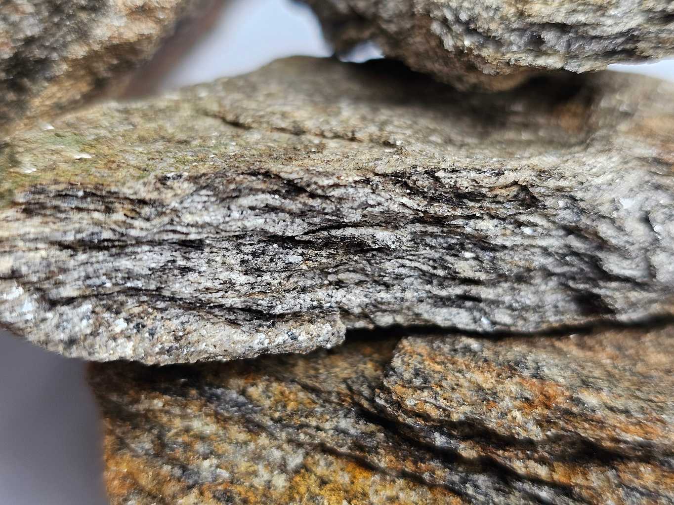 pararula-dvoslidna-plosne-paralelni-plastevnata-textura