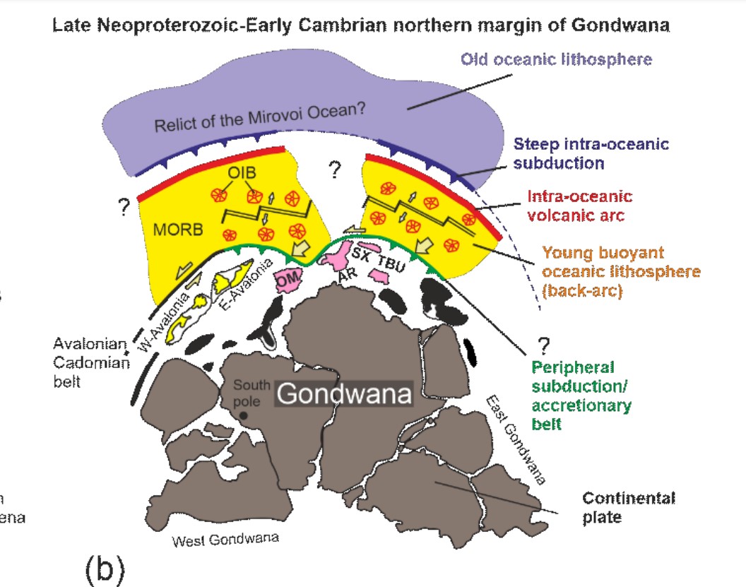 situace-pozdni-neoproterozoikum-spodni-kambrium-severni-okraj-gondvany
