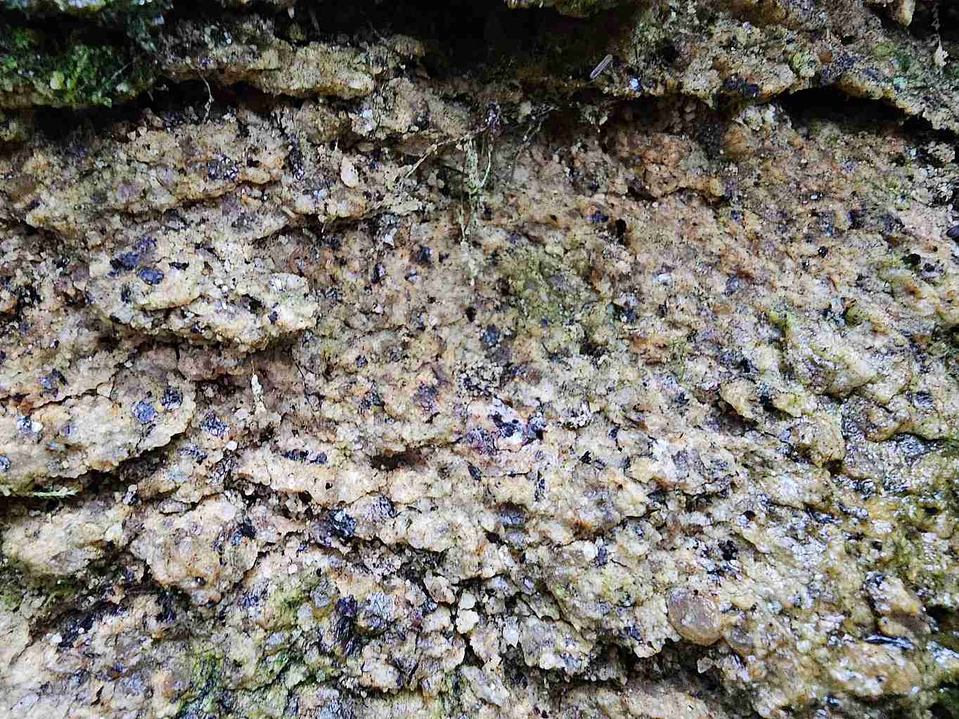 detail-povrchu-zvetrale-dvojslidne-zuly