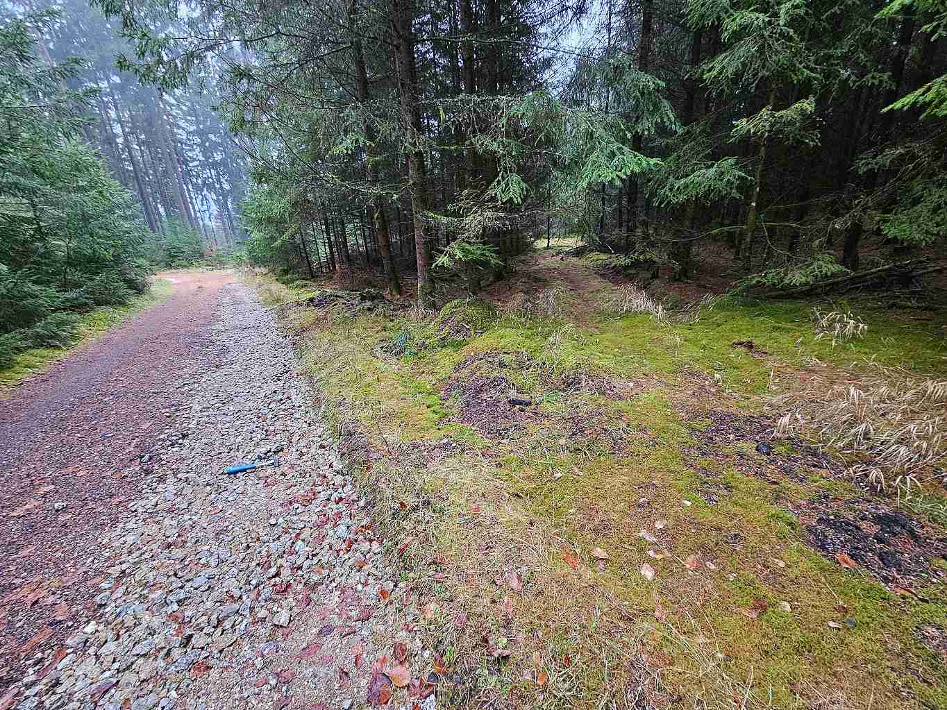 stavajici-cesta-a-stara-cesta-do-tezebny