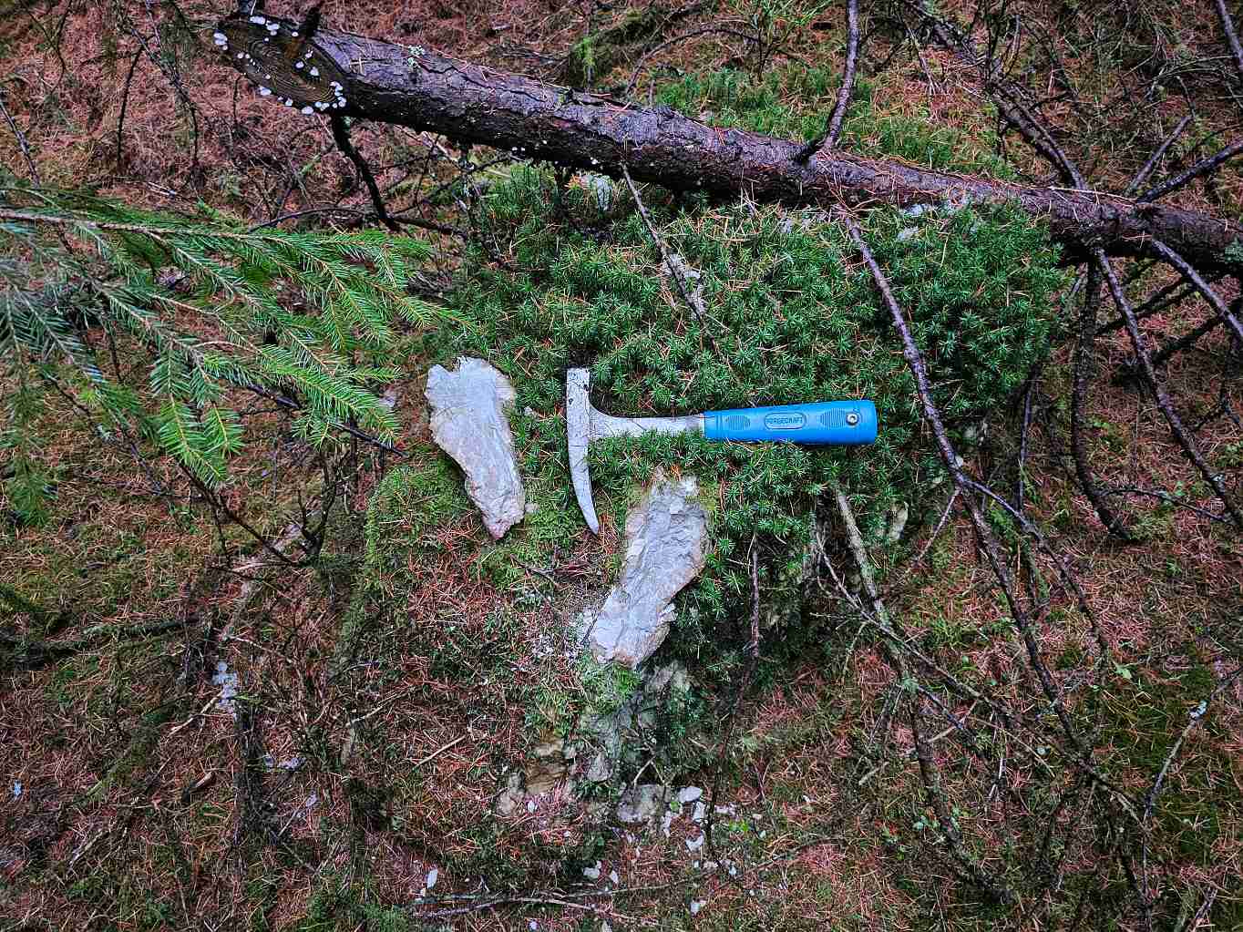 zula-vychoz-za-novym-zdarem-zilny-kremen