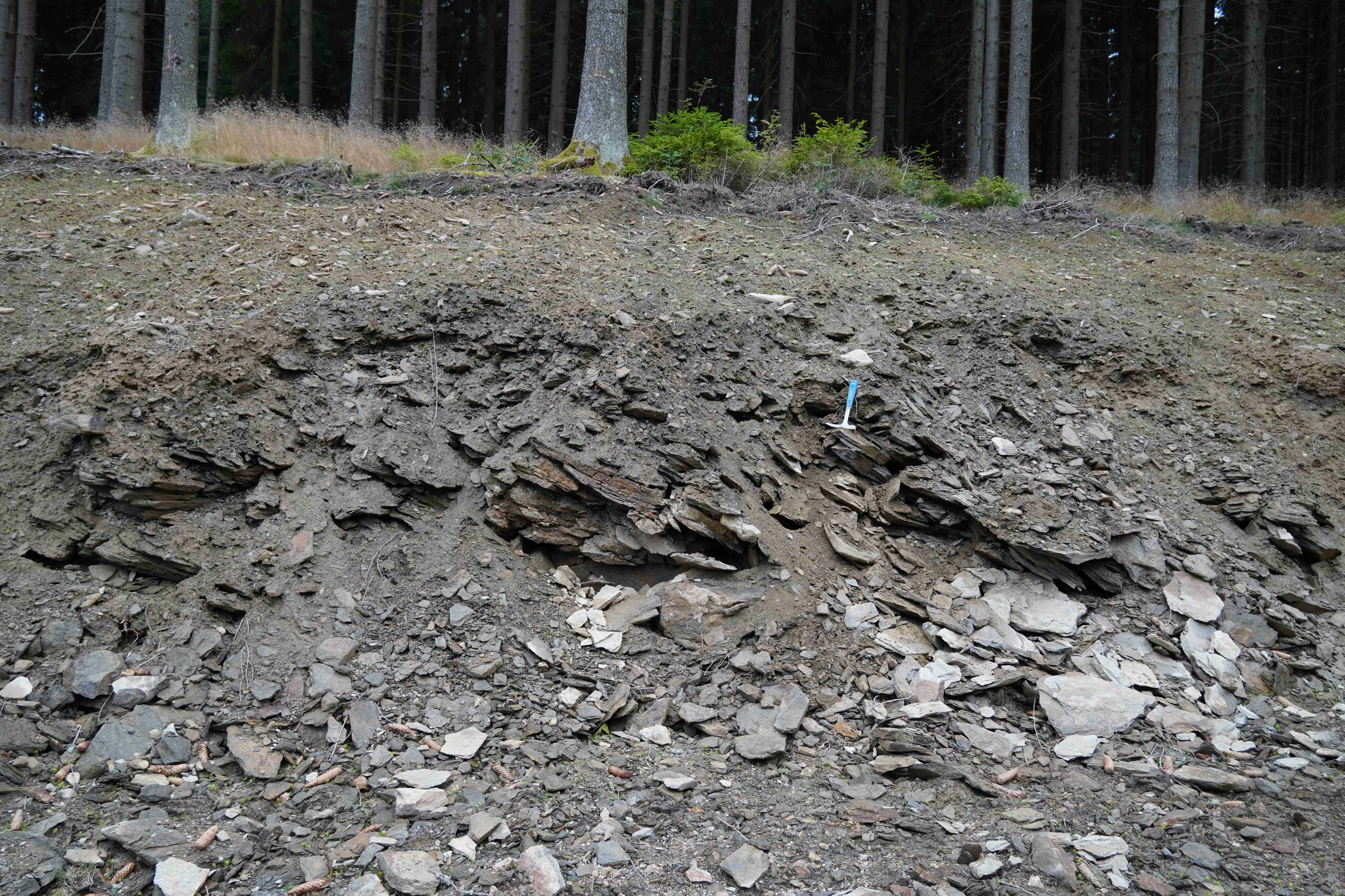 vychoz-svoru-spodni-cast_sjezdovky-celkovy-pohled-www.GeologieAsska.cz-www.GeoVychazky.cz-2023-09-31-DSC02799