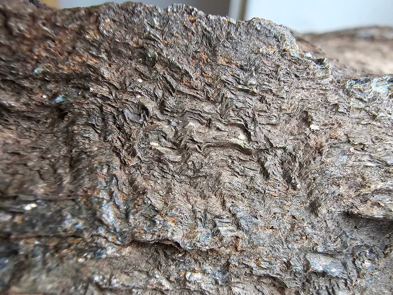 svory-CertovySkaly.cz-detail-vrasek-velikost-mm