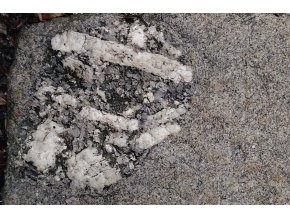 P 20210623 083001 xenol