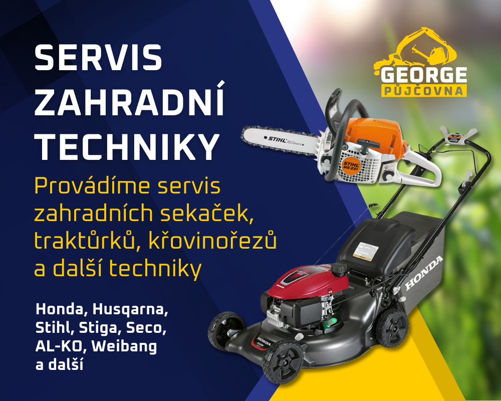 Servis
