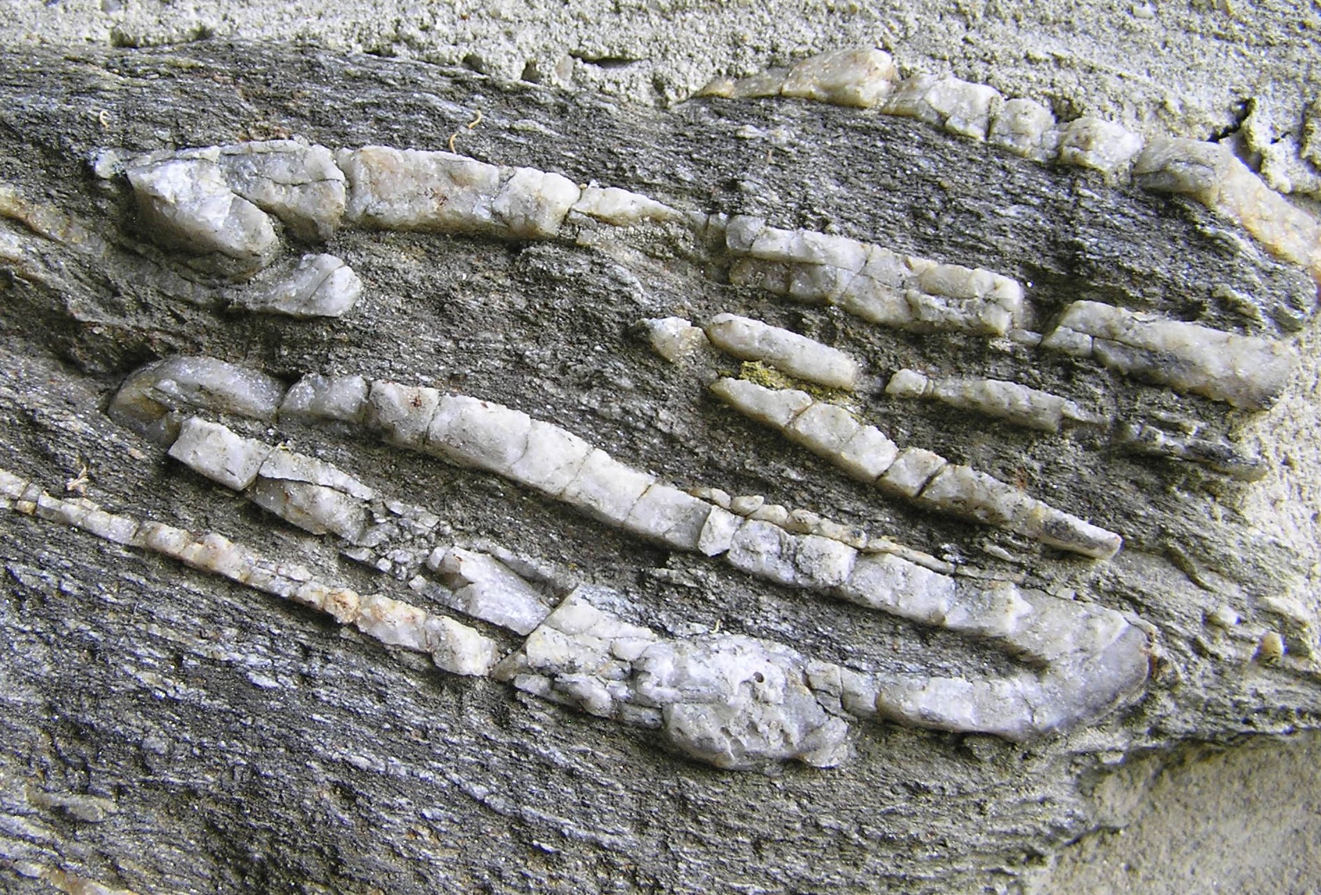 Geologická vycházka - trasa č. 6