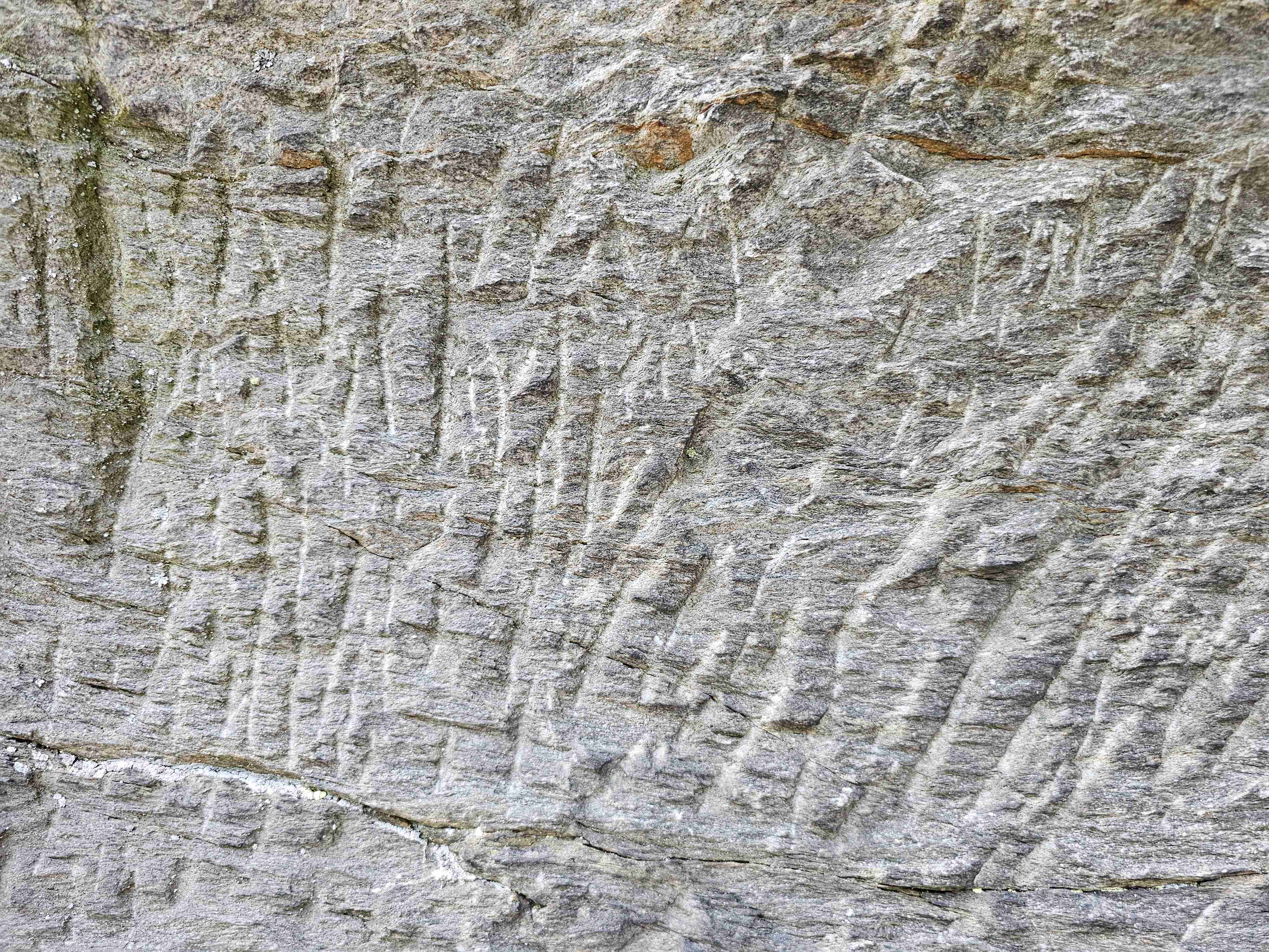 GeoVychazka-30.8.2026-stopy-zelizka-ve-svoru