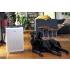 air purifier winix pet