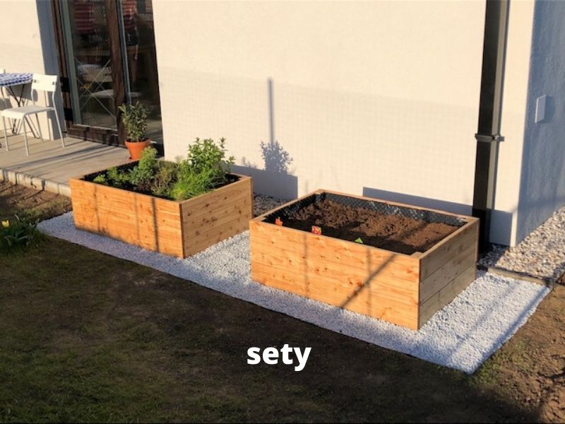 sety