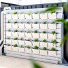 thinpot garden wall 2