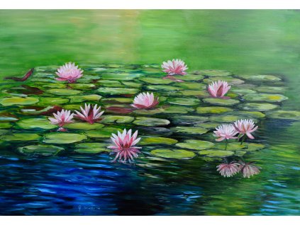 Water lilies 70x100 cm k