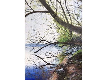 Prima vista (első látásra) 70x50 cm k